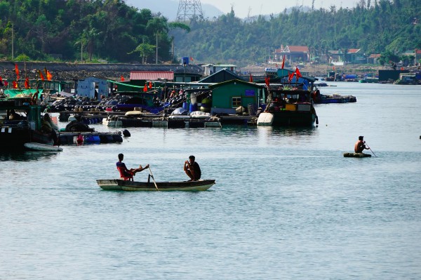 13 đặc khu của Việt Nam: Vân Đồn - Đặc khu làm kinh tế 13 đặc khu của Việt Nam: Vân Đồn - Đặc khu làm kinh tế