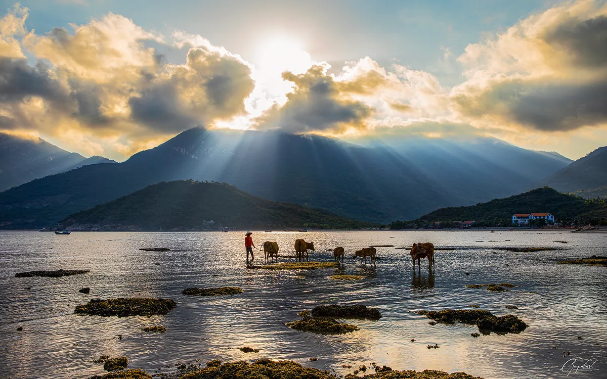 Triển lãm ảnh “Nha Trang say Hi - Hành trình qua ống kính”: Gửi lời mời gọi du lịch bằng hình ảnh - Ảnh 7. Triển lãm ảnh “Nha Trang say Hi - Hành trình qua ống kính”: Gửi lời mời gọi du lịch bằng hình ảnh - Ảnh 7.