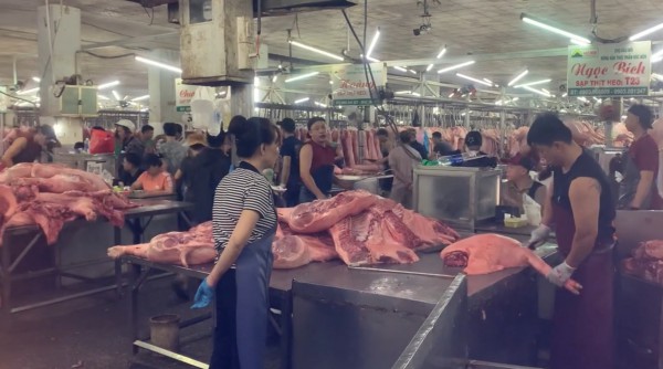Giá heo hơi hôm nay 18.6.2025: Tiếp tục sụt giảm Giá heo hơi hôm nay 18.6.2025: Tiếp tục sụt giảm