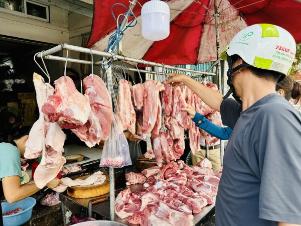 Giá heo hơi hôm nay 19.6.2025: Ngừng đà giảm Giá heo hơi hôm nay 19.6.2025: Ngừng đà giảm