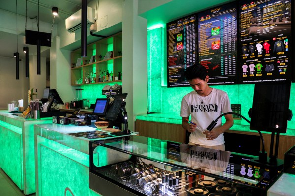 Thái Lan tiến tới tái hình sự hóa việc sử dụng cần sa Thái Lan tiến tới tái hình sự hóa việc sử dụng cần sa