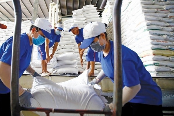 Xuất khẩu gạo: Cơ hội vàng không dành cho “tay mơ”