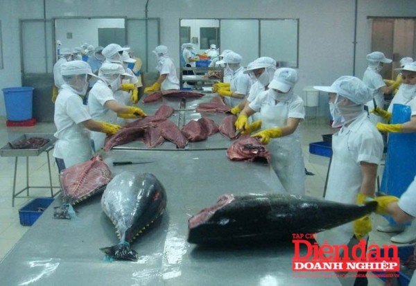 Xuất khẩu thủy sản vào kỳ “thử lửa” mới