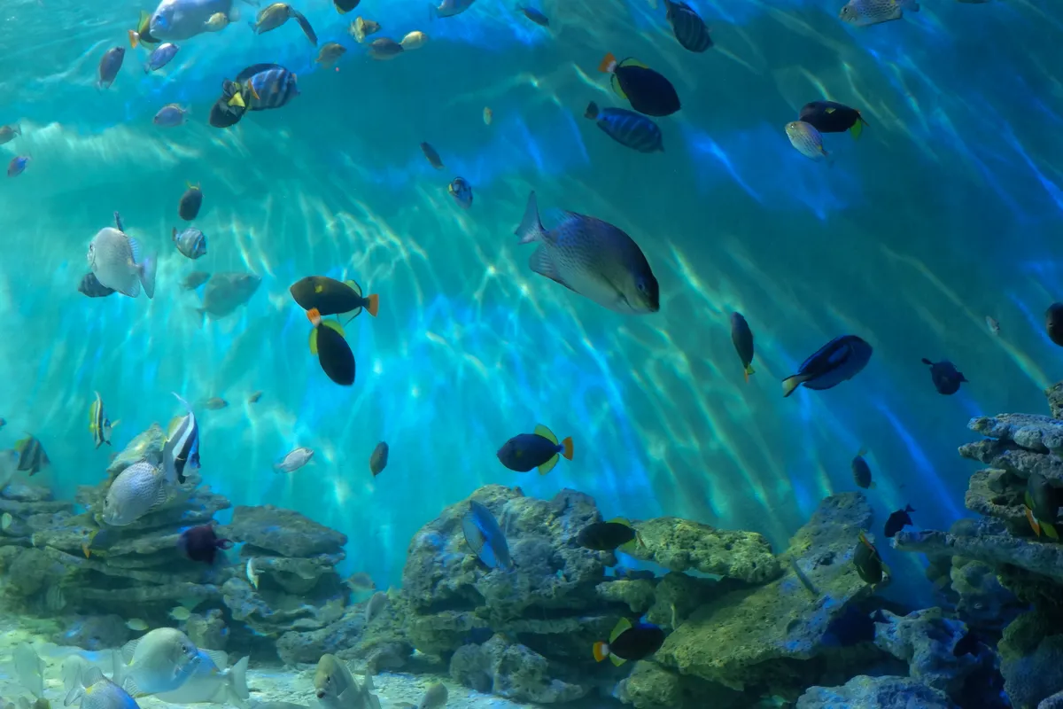 Du lịch chậm ở Ninh Hòa – Nha Trang: Hòa mình vào ẩm thực bản địa và nhịp sống của miền quê - Ảnh 10.