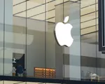 iPhone 7 Plus, iPhone 8 vào danh sách cổ điển của Apple