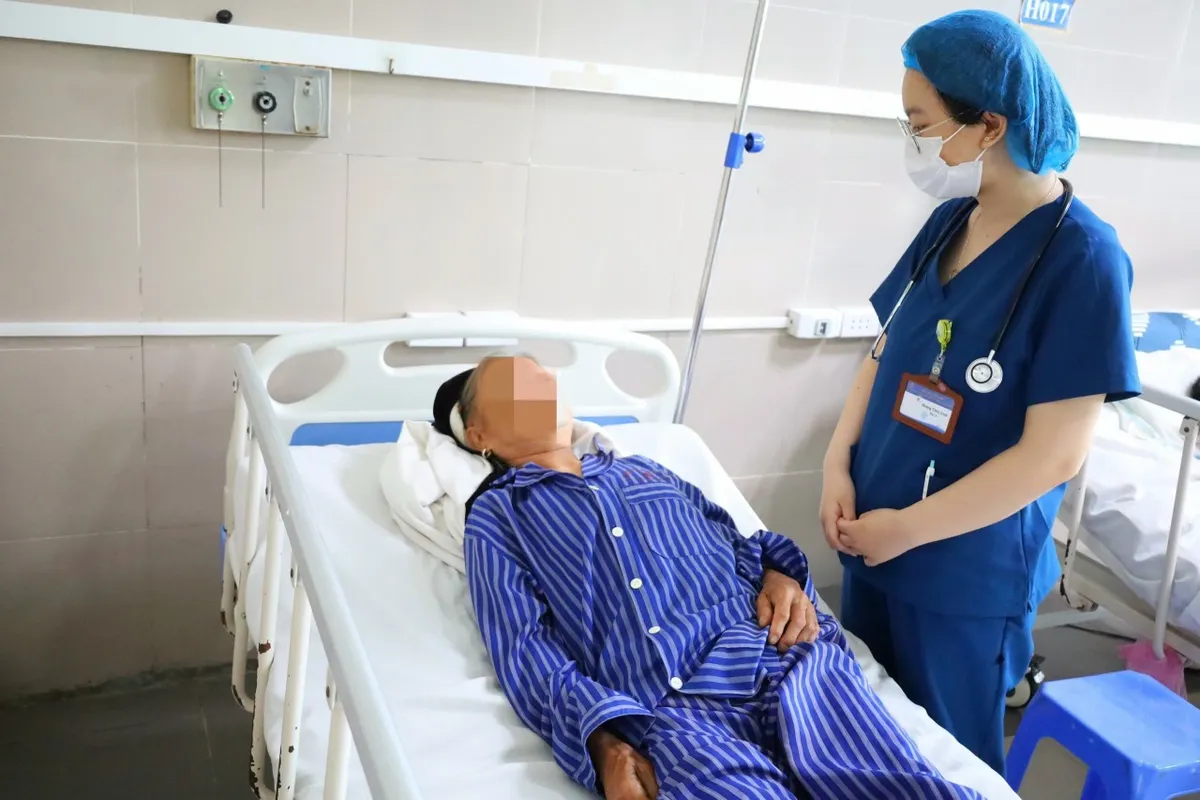 4 người nhập viện sau khi ăn nấm hái trong rừng - Ảnh 1. 4 người nhập viện sau khi ăn nấm hái trong rừng - Ảnh 1.