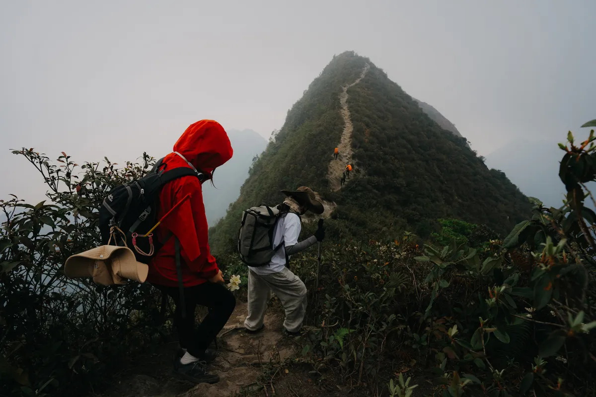 Chiêm ngưỡng rừng rêu cổ thụ trên cung đường leo đỉnh Phu Sa Phìn - Ảnh 10. Chiêm ngưỡng rừng rêu cổ thụ trên cung đường leo đỉnh Phu Sa Phìn - Ảnh 10.