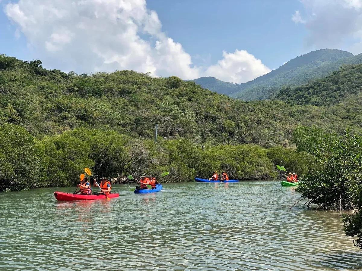 Tái tạo nguồn lợi, phục hồi rạn san hô vịnh Nha Trang - Hướng tới xây dựng cộng đồng biển xanh - Ảnh 3.