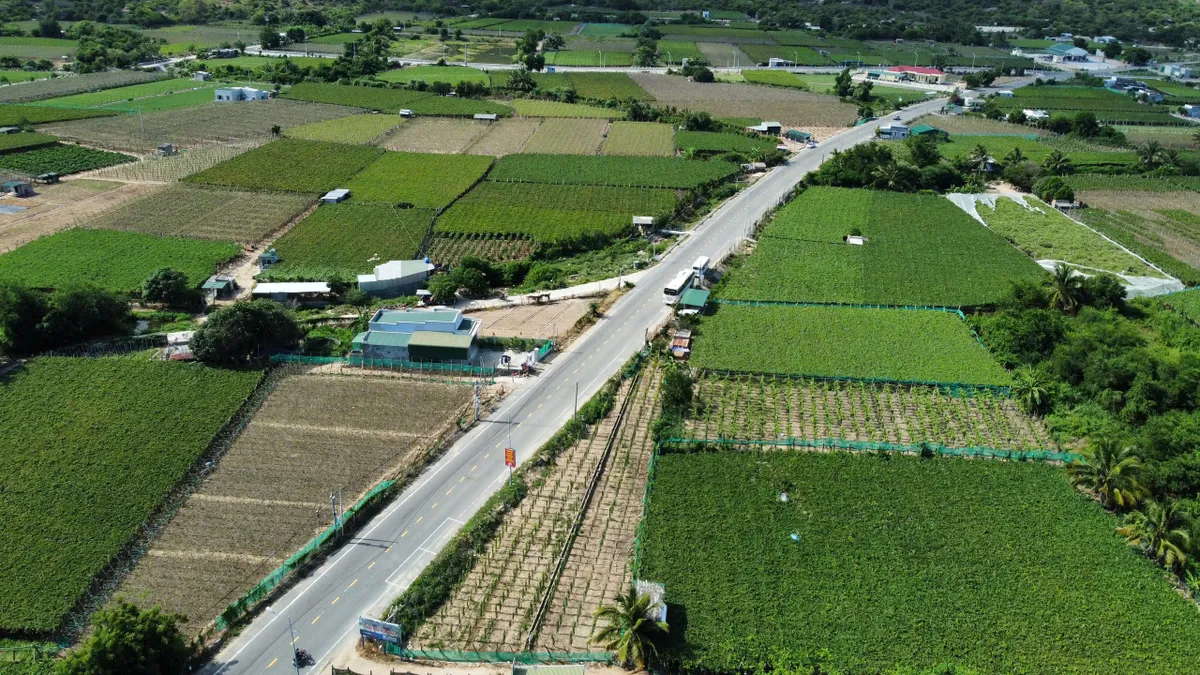 Nơi nắng gió gửi trao những mùa quả ngọt - Ảnh 6. Nơi nắng gió gửi trao những mùa quả ngọt - Ảnh 6.