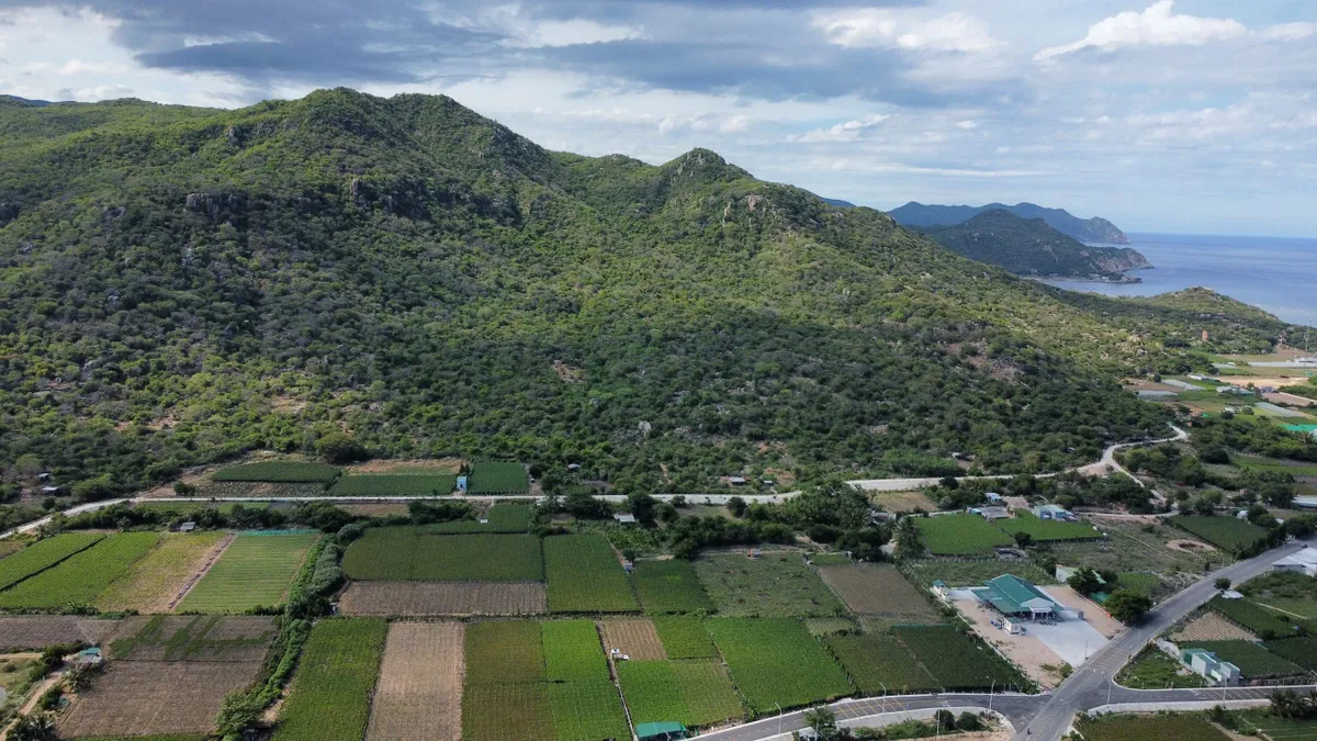 Nơi nắng gió gửi trao những mùa quả ngọt - Ảnh 4. Nơi nắng gió gửi trao những mùa quả ngọt - Ảnh 4.