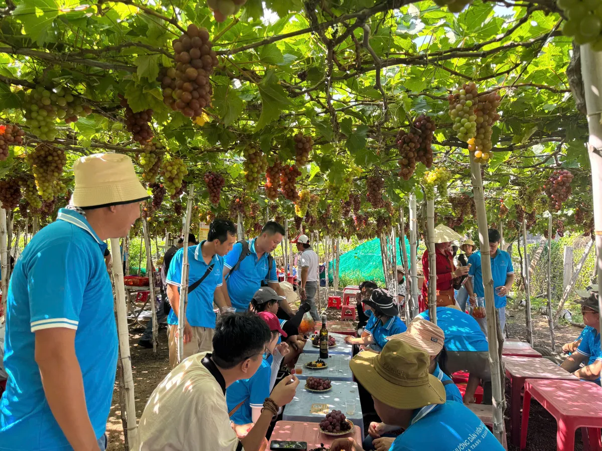 Nơi nắng gió gửi trao những mùa quả ngọt - Ảnh 3. Nơi nắng gió gửi trao những mùa quả ngọt - Ảnh 3.