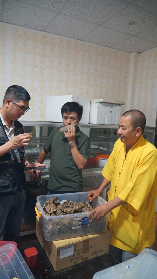 Khát vọng trầm hương của 'nhà sư Thị Kính': Rừng dó bầu nơi cửa Phật