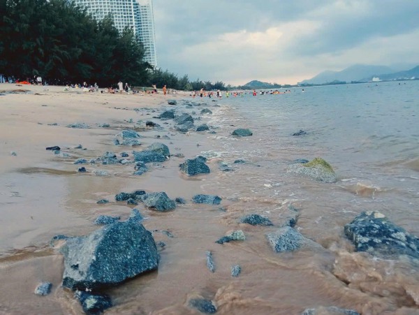 'Rừng' đá chẻ bỗng nhiên xuất hiện trên bãi biển Bình Sơn - Ninh Chữ 'Rừng' đá chẻ bỗng nhiên xuất hiện trên bãi biển Bình Sơn - Ninh Chữ