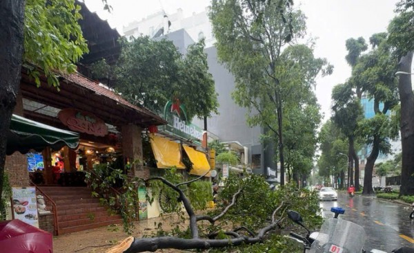Gió lớn, cây xanh gãy đè ô tô ở trung tâm TP.HCM Gió lớn, cây xanh gãy đè ô tô ở trung tâm TP.HCM