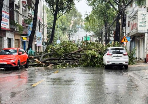 Đồng Nai: Hơn 26.000 khách hàng mất điện sau cơn mưa to kèm gió lớn Đồng Nai: Hơn 26.000 khách hàng mất điện sau cơn mưa to kèm gió lớn