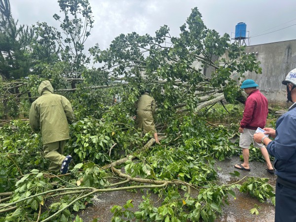 Lâm Đồng: Mưa lớn kèm gió giật kéo dài gây thiệt hại nặng Lâm Đồng: Mưa lớn kèm gió giật kéo dài gây thiệt hại nặng