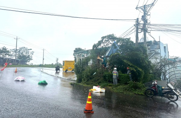 Lâm Đồng: Mưa lớn kèm gió giật kéo dài gây thiệt hại nặng Lâm Đồng: Mưa lớn kèm gió giật kéo dài gây thiệt hại nặng