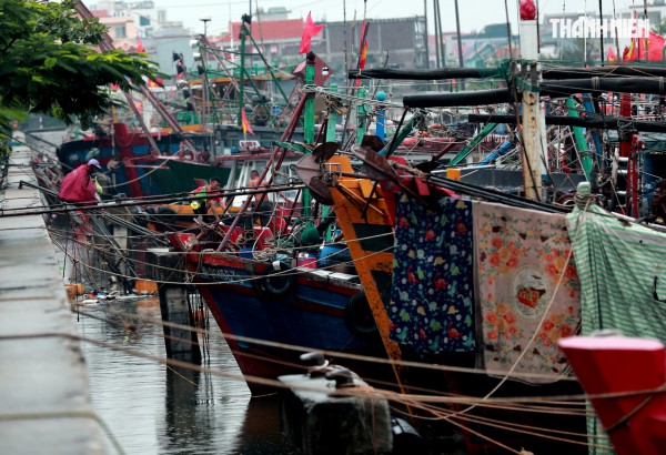 Người dân Hải Phòng căng mình ứng phó bão số 3 (Wipha) Người dân Hải Phòng căng mình ứng phó bão số 3 (Wipha)