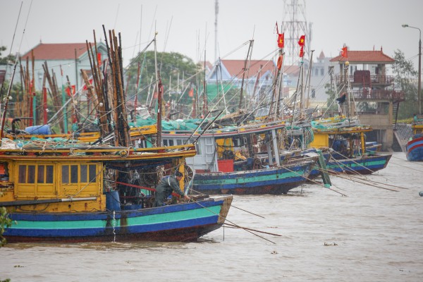 Hàng trăm tàu cá Ninh Bình về bờ tránh bão số 3 (Wipha) Hàng trăm tàu cá Ninh Bình về bờ tránh bão số 3 (Wipha)