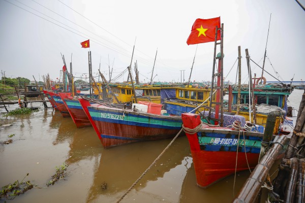 Hàng trăm tàu cá Ninh Bình về bờ tránh bão số 3 (Wipha)