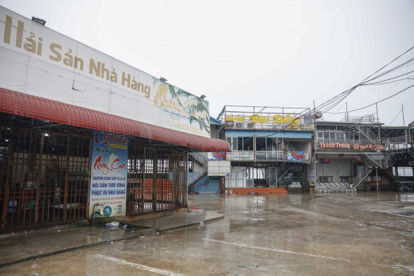 Hàng trăm tàu cá Ninh Bình về bờ tránh bão số 3 (Wipha)