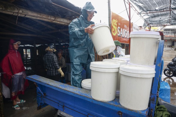 Hàng trăm tàu cá Ninh Bình về bờ tránh bão số 3 (Wipha)