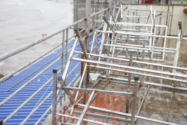 Hàng trăm tàu cá Ninh Bình về bờ tránh bão số 3 (Wipha)