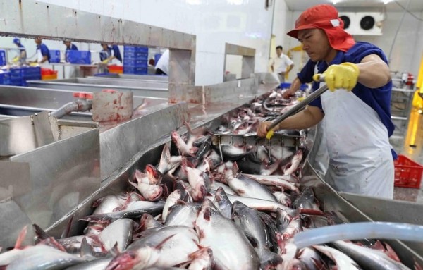Ba nhóm giải pháp "về đích" mục tiêu xuất khẩu 65 tỷ USD nông sản