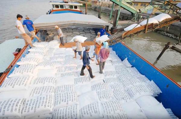 Giá gạo tiếp tục giảm, Trung Quốc tăng nhập Giá gạo tiếp tục giảm, Trung Quốc tăng nhập