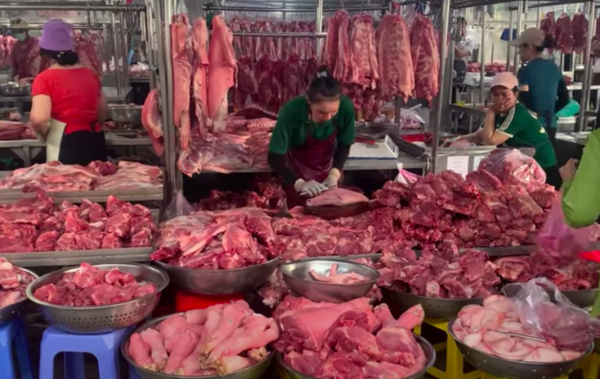 Giá heo hơi hôm nay 18.7.2025: Giảm nhanh xuống mức 64.000 đồng/kg