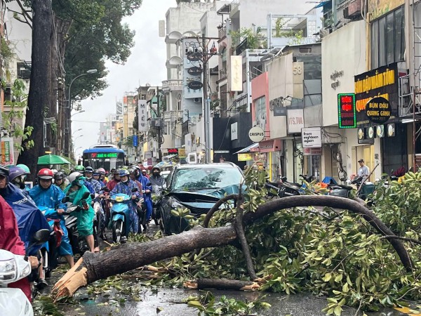 Gió lớn, cây xanh gãy đè ô tô ở trung tâm TP.HCM Gió lớn, cây xanh gãy đè ô tô ở trung tâm TP.HCM