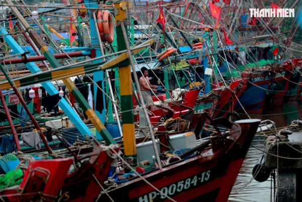 Người dân Hải Phòng căng mình ứng phó bão số 3 (Wipha) Người dân Hải Phòng căng mình ứng phó bão số 3 (Wipha)