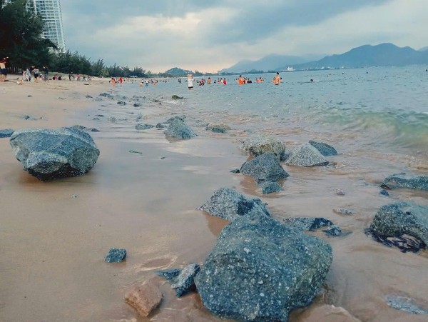 'Rừng' đá chẻ bỗng nhiên xuất hiện trên bãi biển Bình Sơn - Ninh Chữ 'Rừng' đá chẻ bỗng nhiên xuất hiện trên bãi biển Bình Sơn - Ninh Chữ