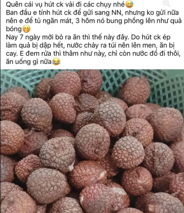 Sai lầm khi hút chân không để bảo quản vải thiều Sai lầm khi hút chân không để bảo quản vải thiều