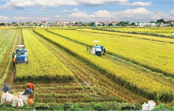 Thúc đẩy kinh tế tuần hoàn trong nông nghiệp: Lan toả hệ sinh thái tuần hoàn