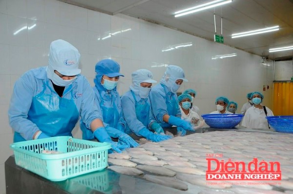 Thủy sản Việt Nam “bội thu” từ thị trường Trung Quốc