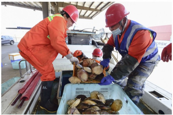Trung Quốc dỡ bỏ lệnh cấm nhập khẩu hải sản Nhật Bản