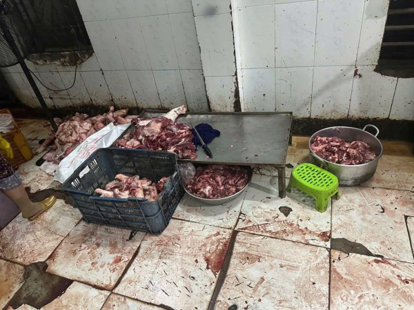 Gia Lai: Phát hiện hơn 4 tấn thịt heo hôi thối, không rõ nguồn gốc