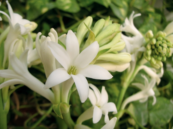 Gợi ý hương nước hoa cho những ngày thu se lạnh
