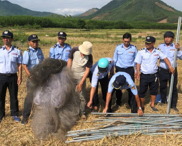 Khánh Hòa: Báo động tình trạng bẫy chim yến trái phép Khánh Hòa: Báo động tình trạng bẫy chim yến trái phép