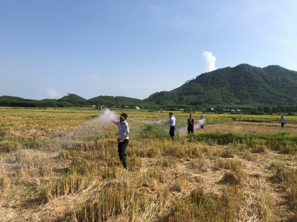 Khánh Hòa: Báo động tình trạng bẫy chim yến trái phép Khánh Hòa: Báo động tình trạng bẫy chim yến trái phép