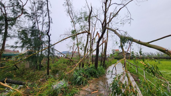 Làng biển ở Hà Tĩnh tan hoang sau bão số 5 Làng biển ở Hà Tĩnh tan hoang sau bão số 5