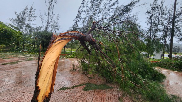 Làng biển ở Hà Tĩnh tan hoang sau bão số 5 Làng biển ở Hà Tĩnh tan hoang sau bão số 5