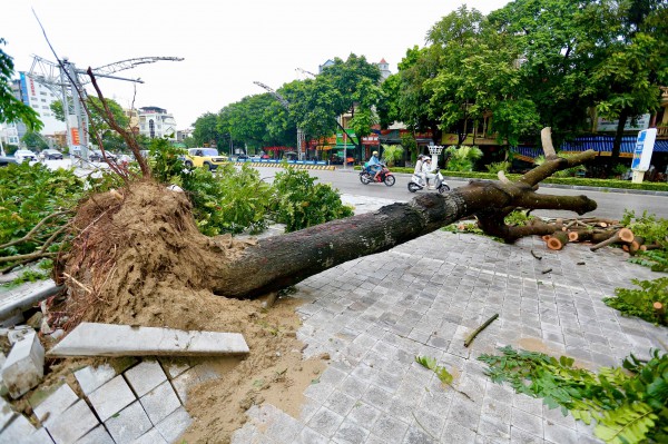 Đường phố Thanh Hóa ngập trong 'biển nước' sau bão số 5