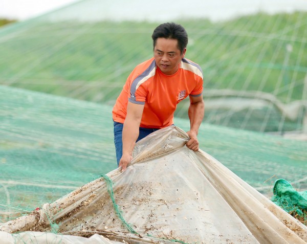 Những ao nuôi tôm tiền tỉ tan hoang sau bão số 5 Những ao nuôi tôm tiền tỉ tan hoang sau bão số 5