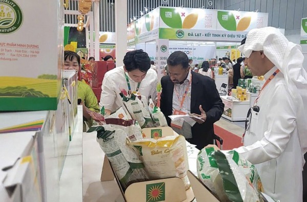 Giải pháp đột phá tiếp cận thị trường mới: Tầm nhìn chiến lược