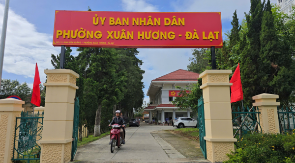 Lâm Đồng: Chưa giải quyết cho nghỉ theo Nghị định 178 những người không giữ chức vụ Lâm Đồng: Chưa giải quyết cho nghỉ theo Nghị định 178 những người không giữ chức vụ