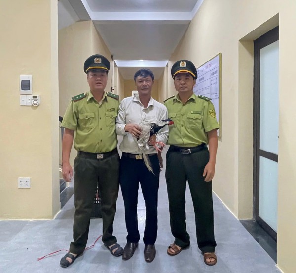 TP.Huế: Người dân phát hiện gà lôi trắng gần tượng rồng hồ Thủy Tiên