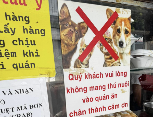 Tranh cãi quán ăn TP.HCM cấm khách mang thú cưng vào: Hợp lý hay khắt khe?