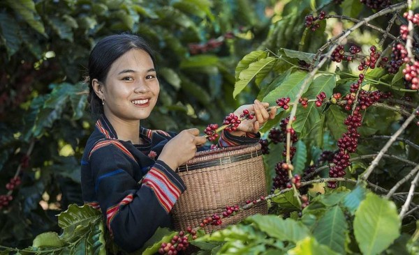 “Chất liệu đặc biệt” xây dựng thương hiệu xuất khẩu quốc tế
